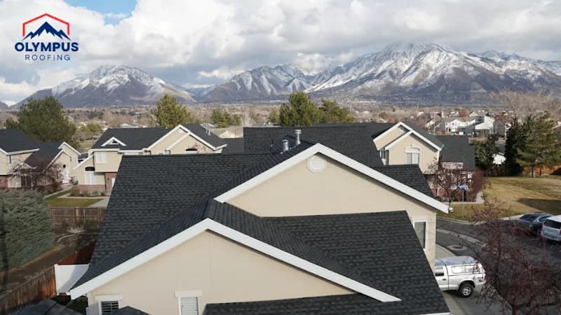 Olympus Roofing portfolio photo