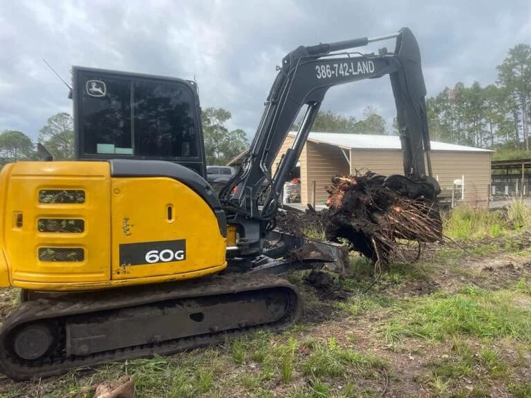 Hastings Land Management - Volusia County Stump Grinding, Land Clearing, Excavation portfolio photo