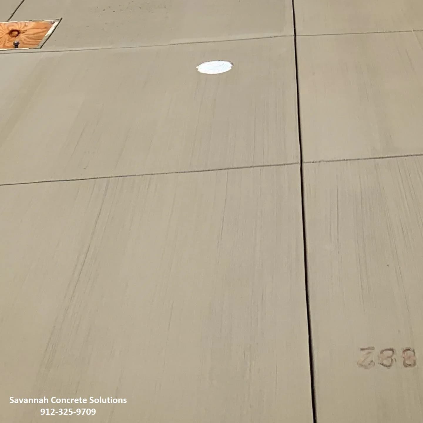 savannah_concrete