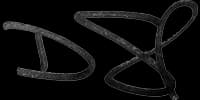 DS Initials