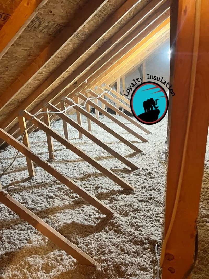 Loyalty Insulation LLC portfolio photo