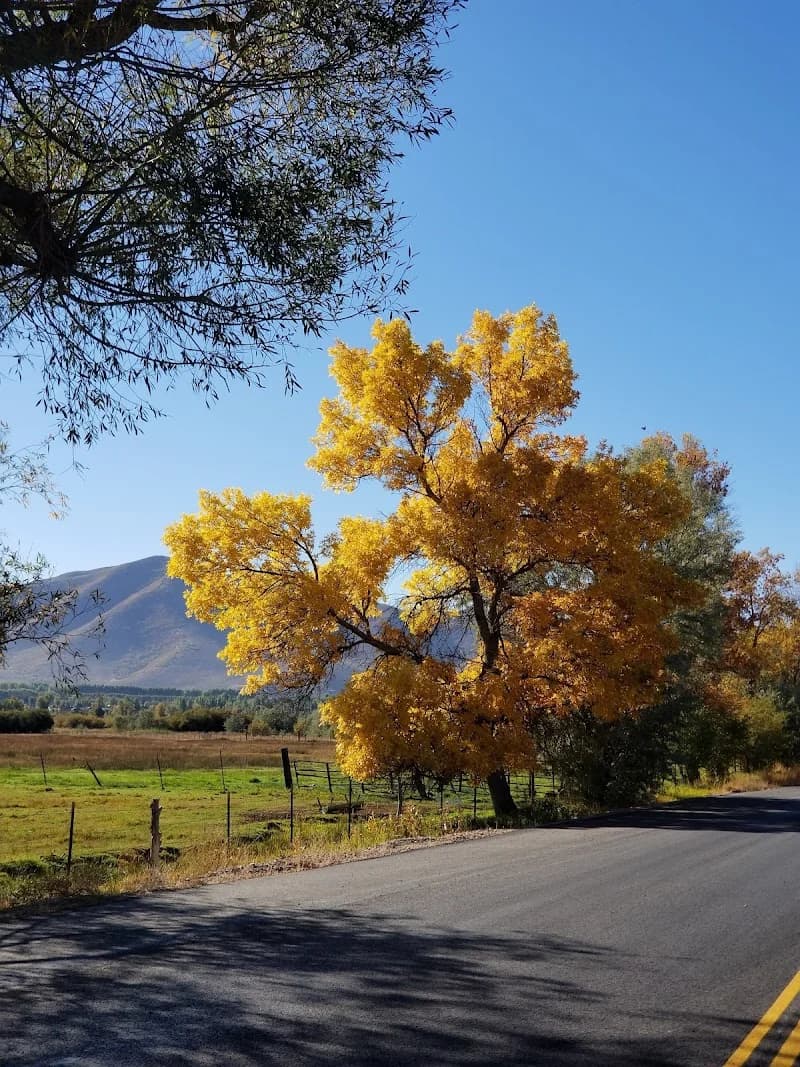 Silver Stone Electric portfolio photo