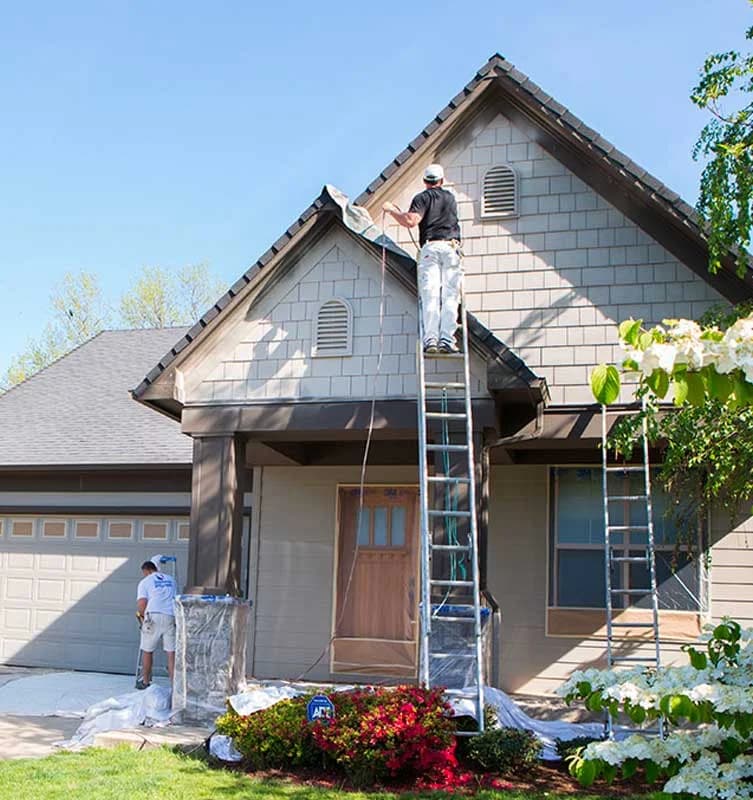 Roof Painting Service