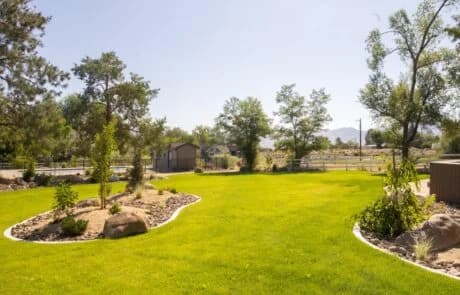 DRC Landscaping portfolio photo