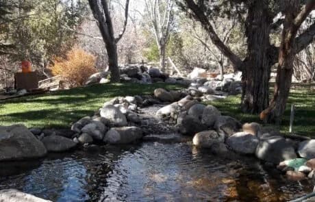 DRC Landscaping portfolio photo