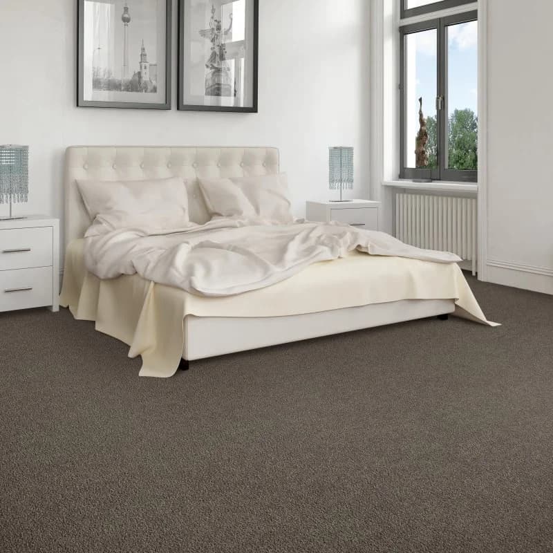 Apollo Flooring providing easy stain-resistant pet proof carpet in Tucson, AZ - Impressive Option II-Celestial