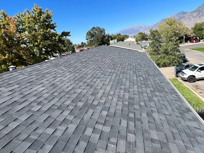 Epic Roofing Contractors, LLC portfolio photo