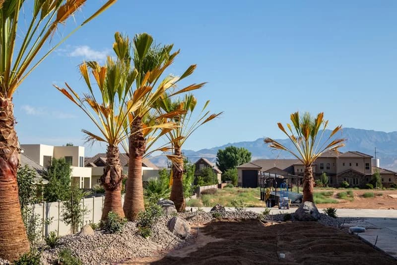 Precision Landscape & Sprinkler portfolio photo