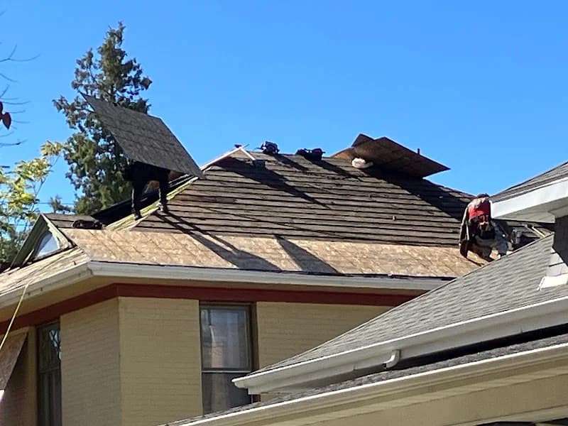 The Roof Guys: Utah County's Local Roofing Experts portfolio photo