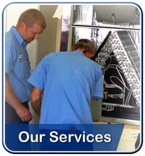 Our Services