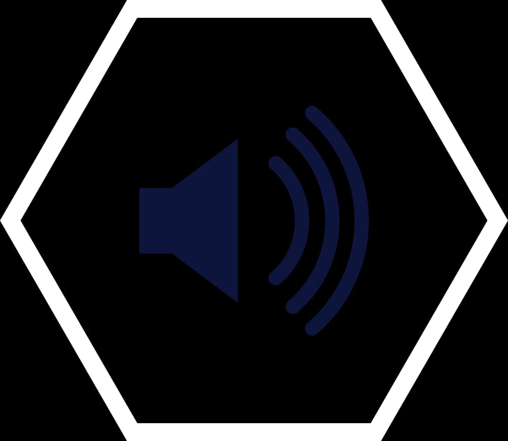 Acoustic Ceilings