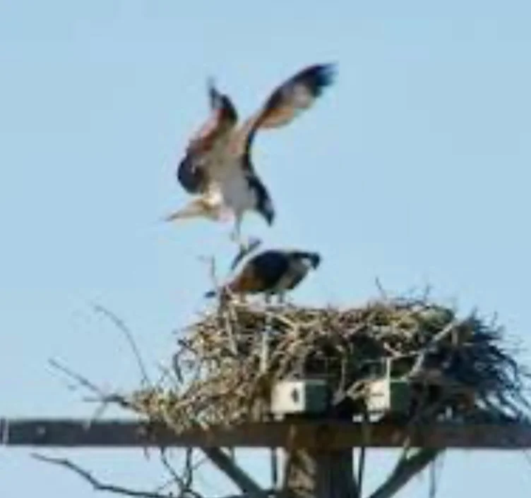 3 Reasons Why We Strongly Support The FWC
