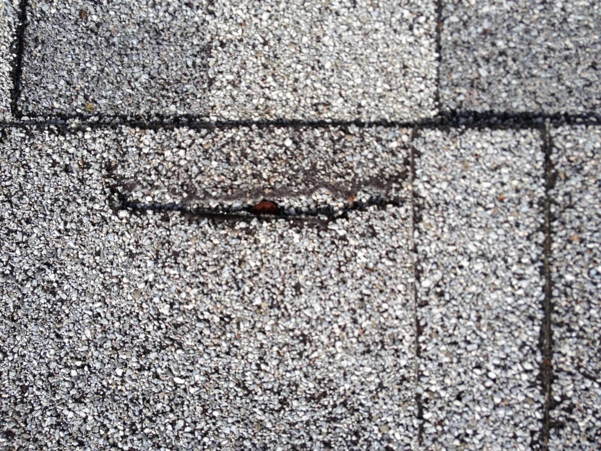 4 Simple Shingle Roof Repairs You Can Do Now