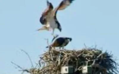 3 Reasons Why We Strongly Support The FWC
