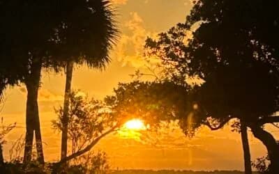 Florida Roofing and Renovations Is Awesome