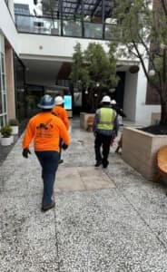 Hardscape and Landscaping Remodeling - Demoleaders