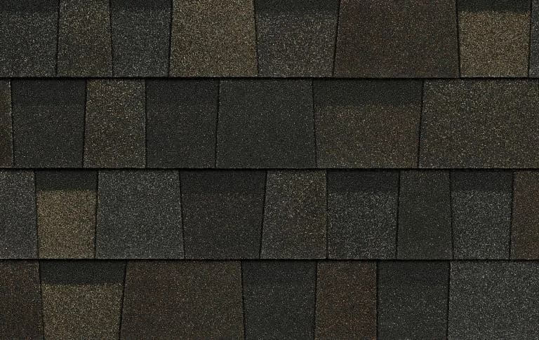 DSDP_BlackSable_RGB_swatch_lg_07_2022