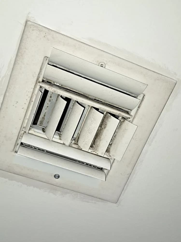 B Green Drywall portfolio photo