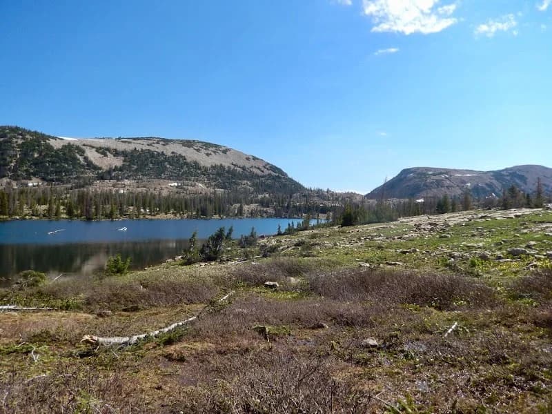 Jake Adams Topnotch portfolio photo