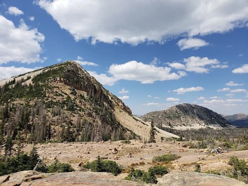 Jake Adams Topnotch portfolio photo