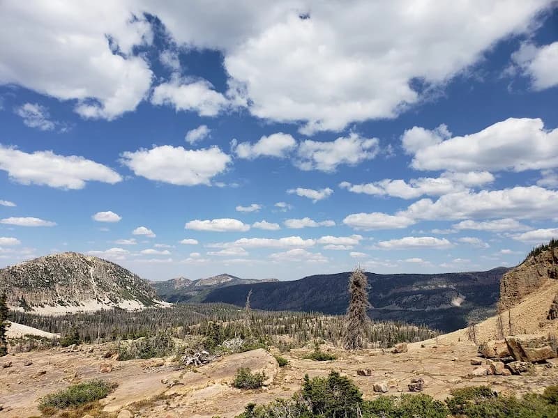 Jake Adams Topnotch portfolio photo