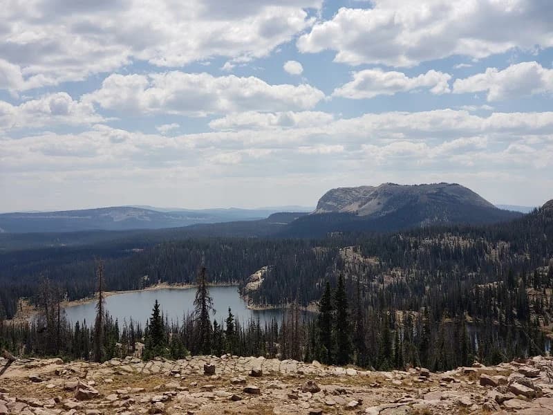 Jake Adams Topnotch portfolio photo