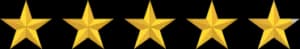 4.9 Star Rating V2