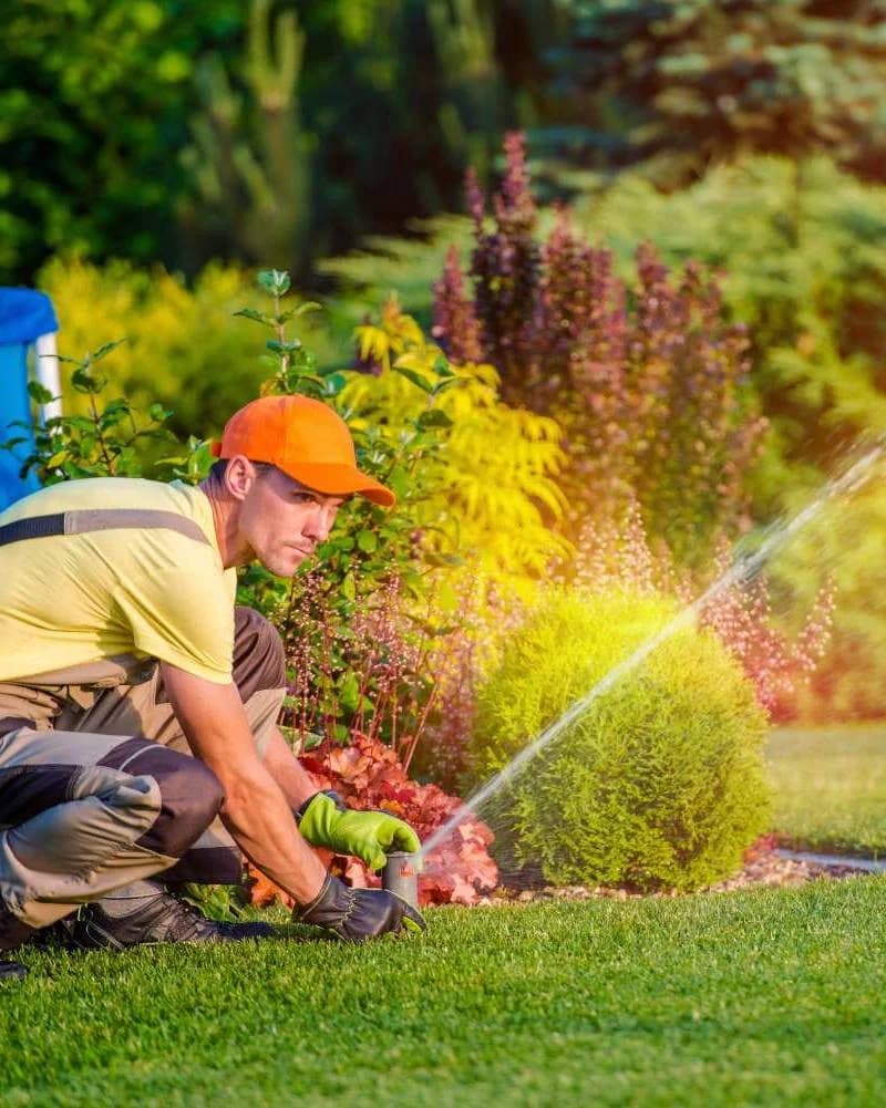 My Irrigation Guy portfolio photo