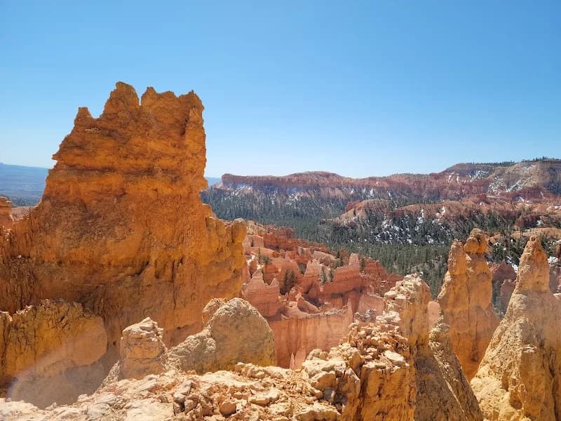 BCM Landscaping and Snow Removal portfolio photo