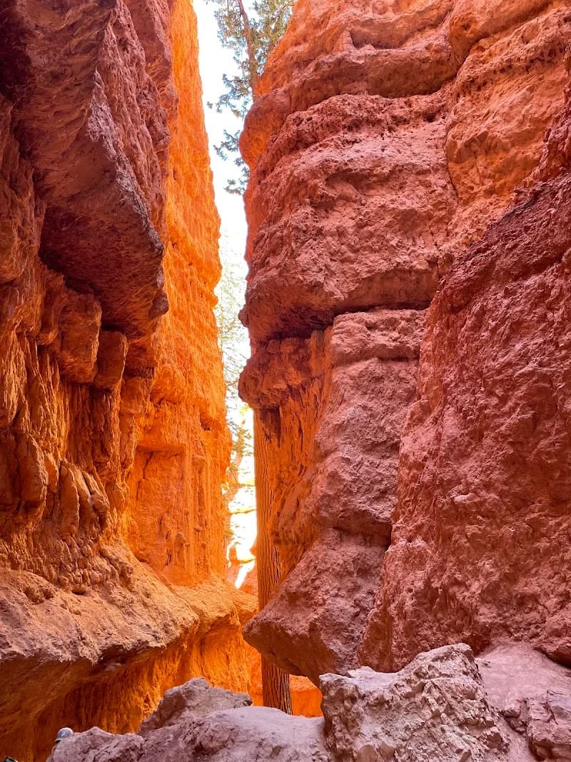 BCM Landscaping and Snow Removal portfolio photo