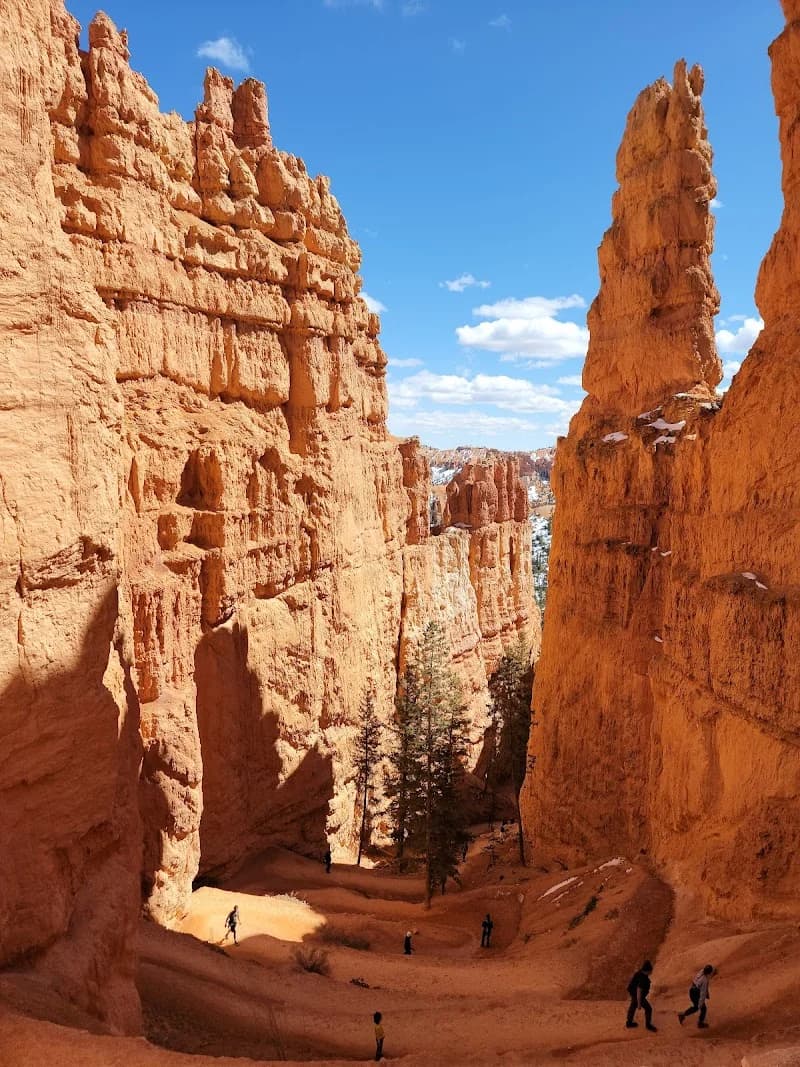 BCM Landscaping and Snow Removal portfolio photo