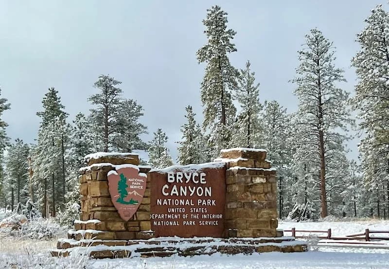 BCM Landscaping and Snow Removal portfolio photo