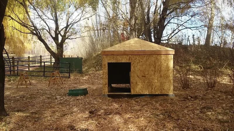 Hawkeye Framing portfolio photo