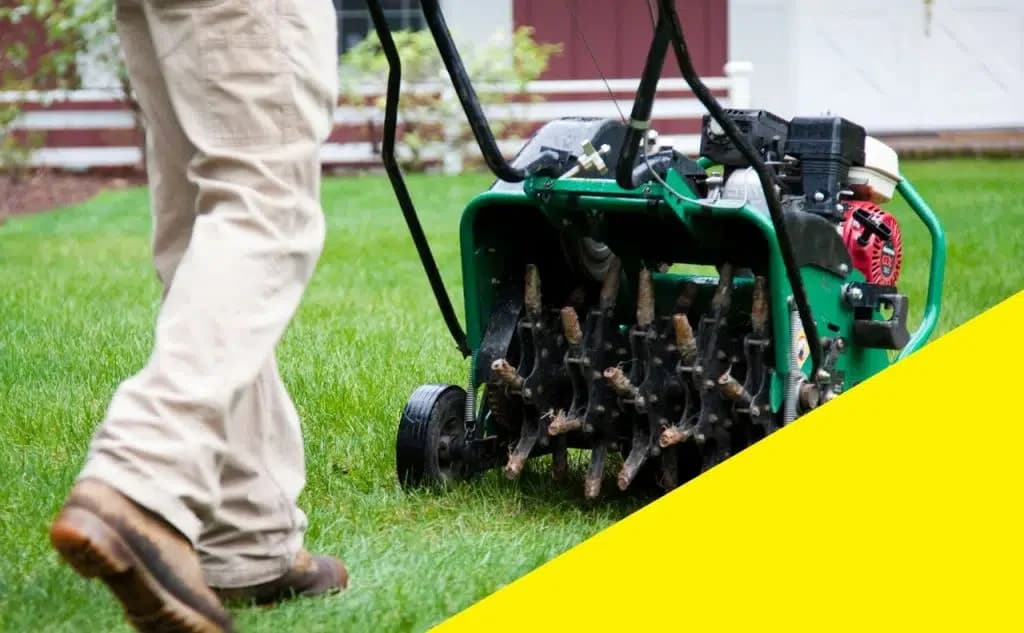 Landscape Design & Lawn Care Company in the Twin Cities, MN | Landscape Design & Lawn Care Near Me portfolio photo