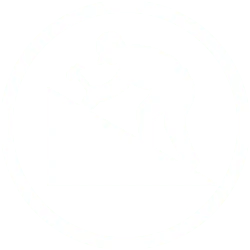 roof repair