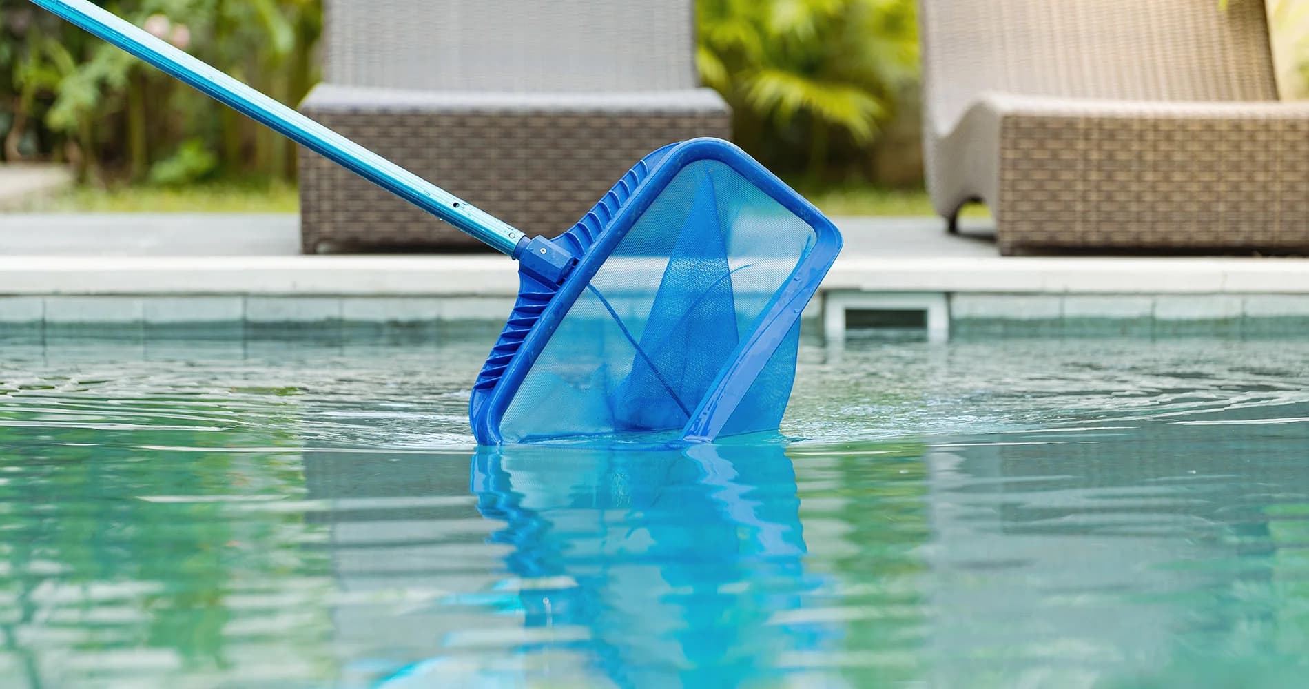 Signs I Need My Pool Removed