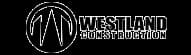 Wilkinson Electric - High Quality Electrical Contracting portfolio photo