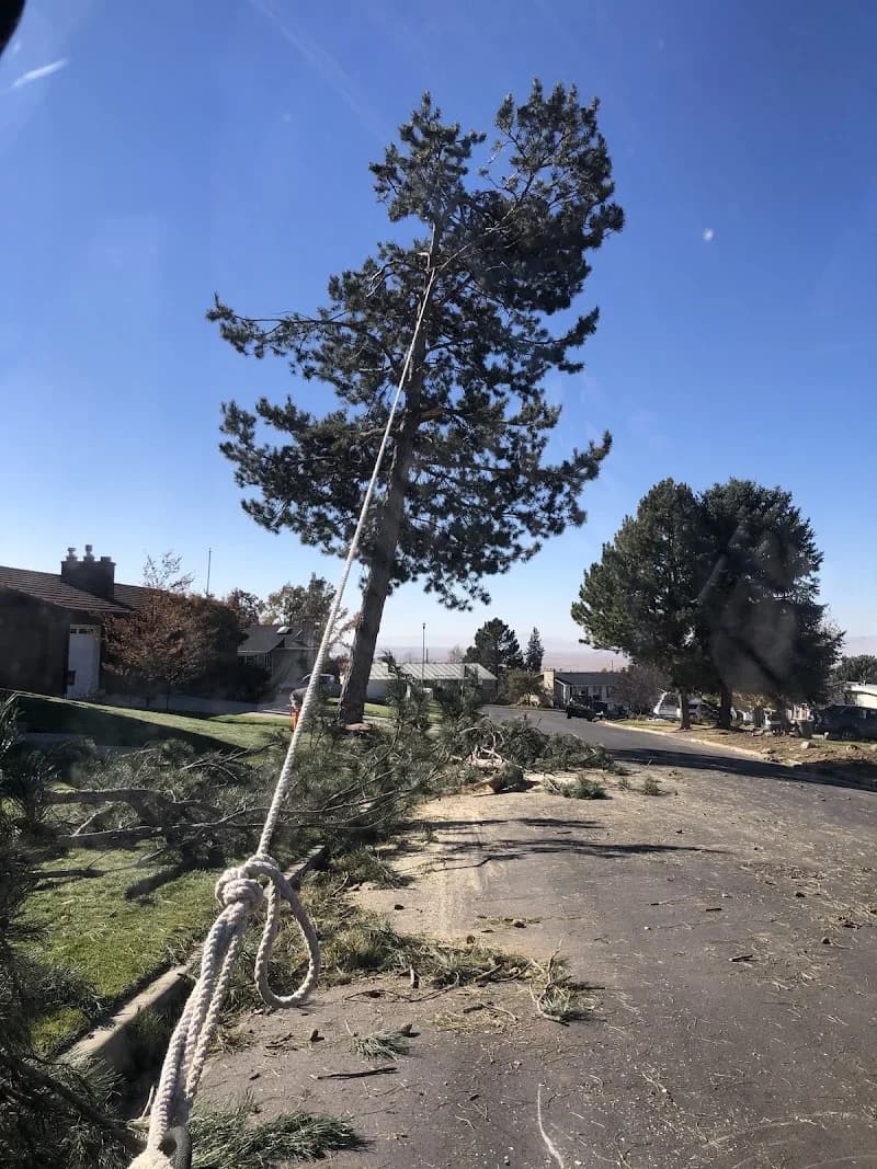 Western Pipe Fabrication Inc. portfolio photo