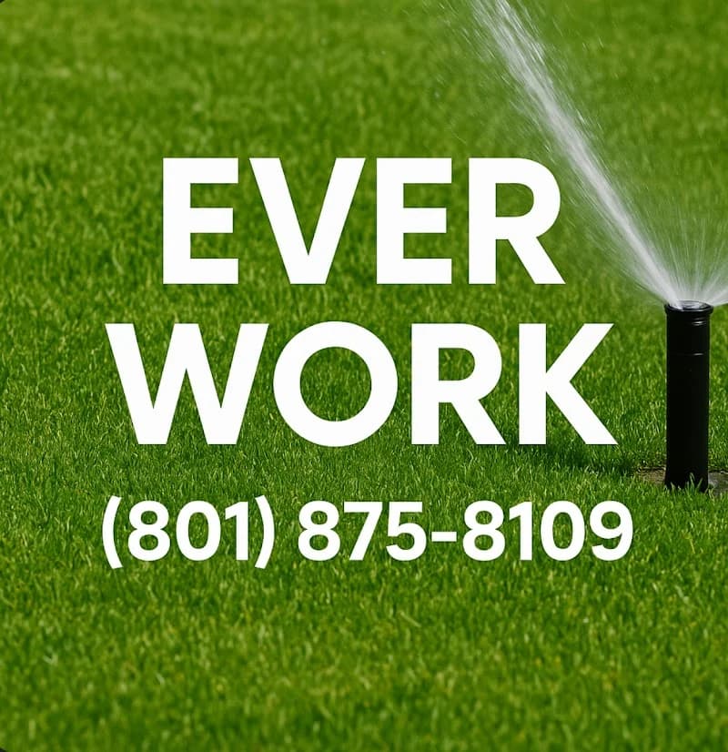 Eco Irrigation in Raleigh Maintenance, Repair, Upgrades portfolio photo