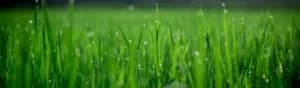 Eco Irrigation in Raleigh Maintenance, Repair, Upgrades portfolio photo