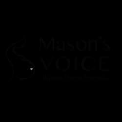 masons voice logo