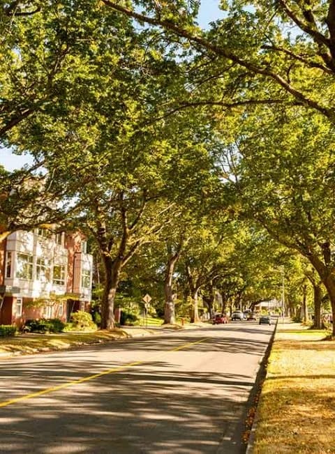 Driveway Services in Charlotte NC
