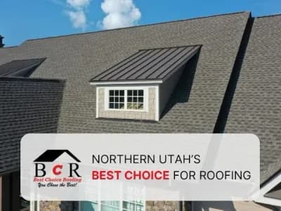 Best Choice Roofing portfolio photo