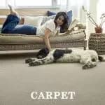 Beautiful and durable carpet with pet proof technology