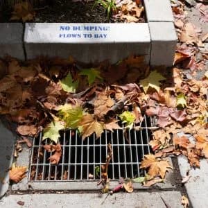 Stormwater inspection and drainage assessment in Eugene Oregon