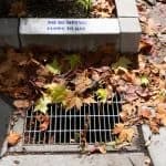 Stormwater inspection and drainage assessment in Eugene Oregon