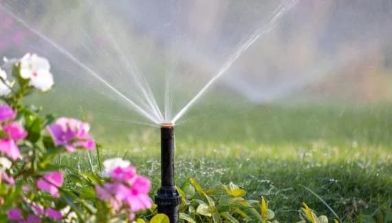 irrigation system