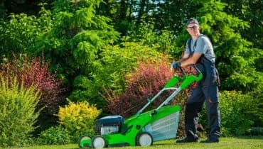 landscape maintenance