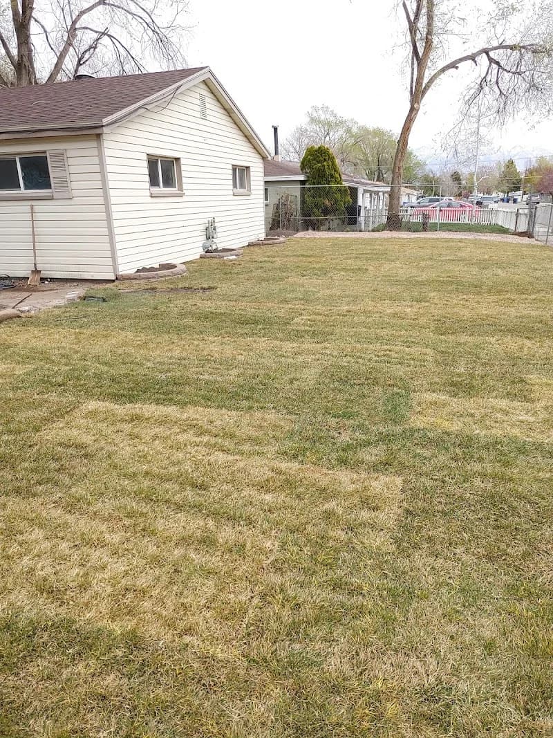 Utah Lawn portfolio photo