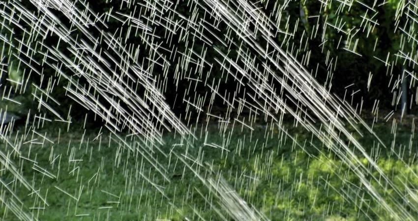 Williamson's Irrigation and Lighting portfolio photo